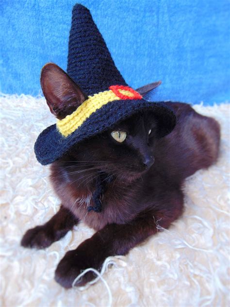 Make your cat the center of attention with a crochet witch hat